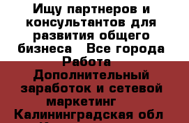 Ищу партнеров и консультантов для развития общего бизнеса - Все города Работа » Дополнительный заработок и сетевой маркетинг   . Калининградская обл.,Калининград г.
